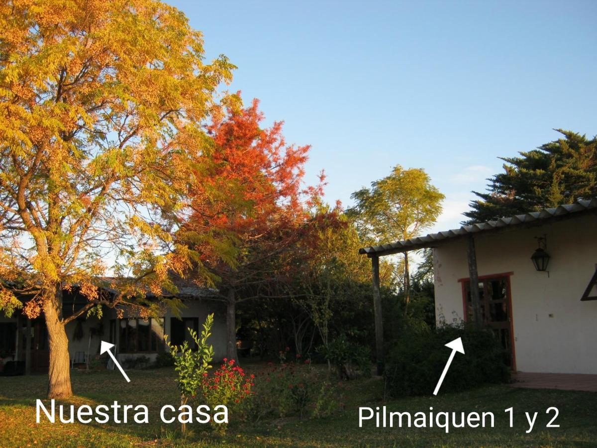 Pilmaiquen Villa Riachuelo Exteriör bild