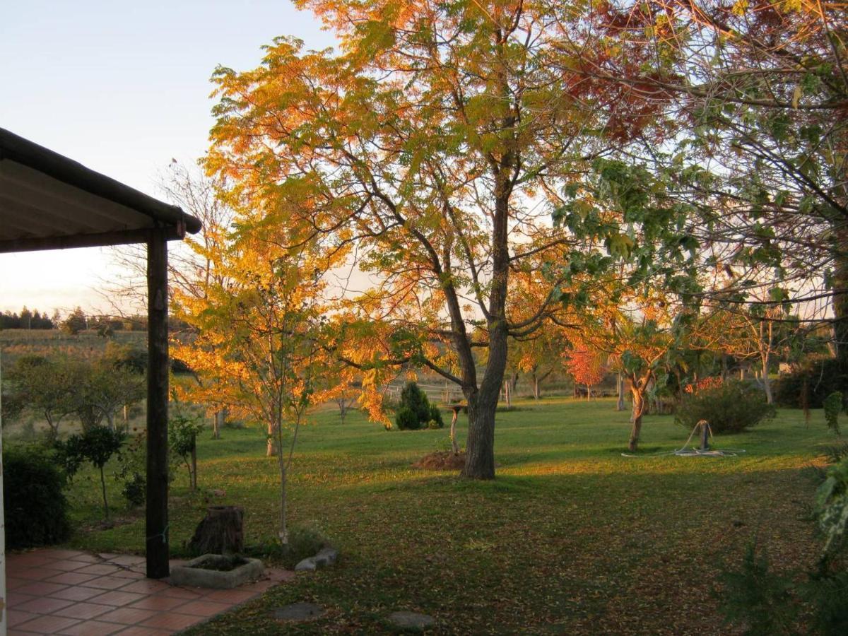 Pilmaiquen Villa Riachuelo Exteriör bild