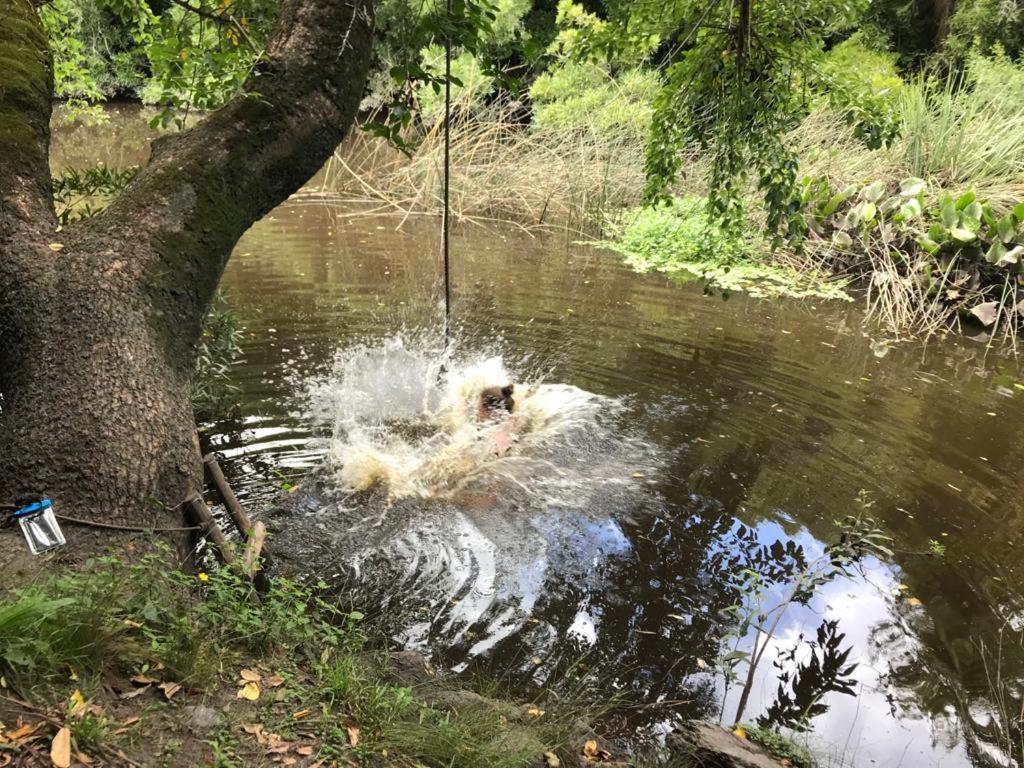 Pilmaiquen Villa Riachuelo Exteriör bild