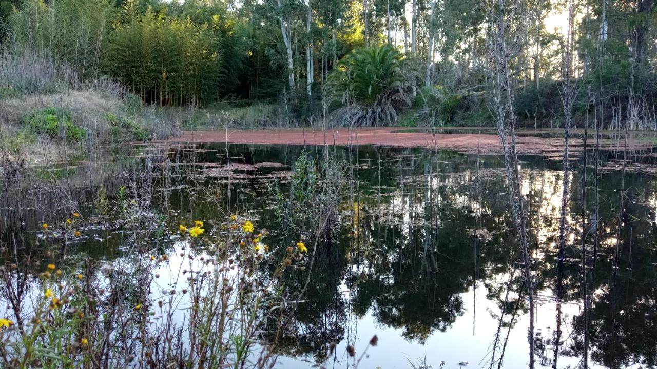 Pilmaiquen Villa Riachuelo Exteriör bild