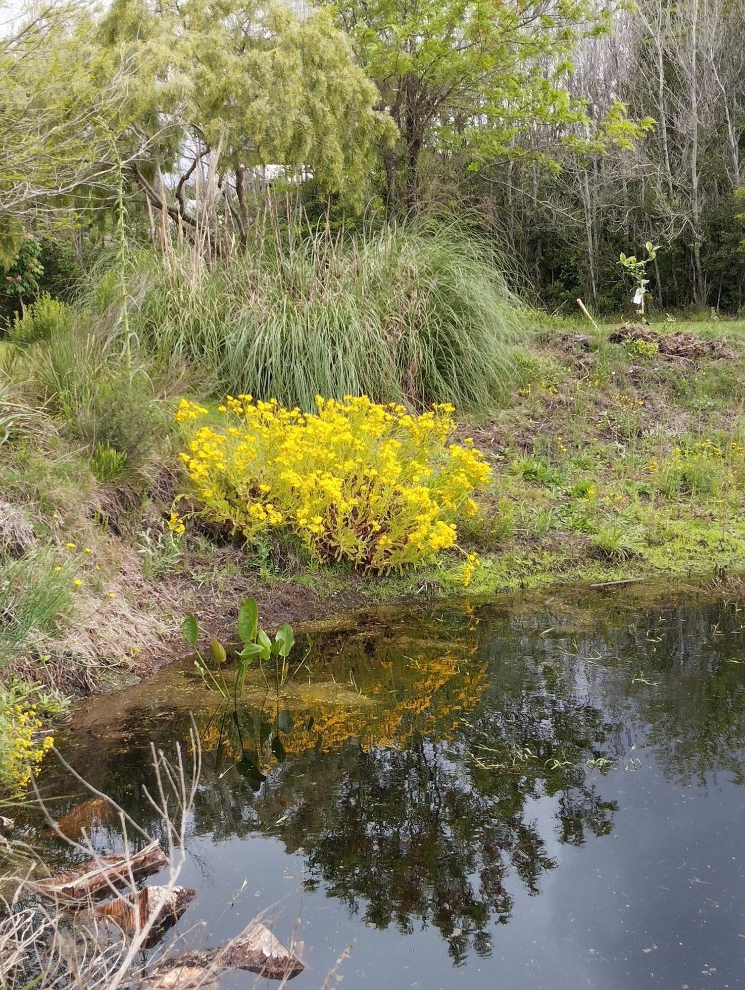 Pilmaiquen Villa Riachuelo Exteriör bild