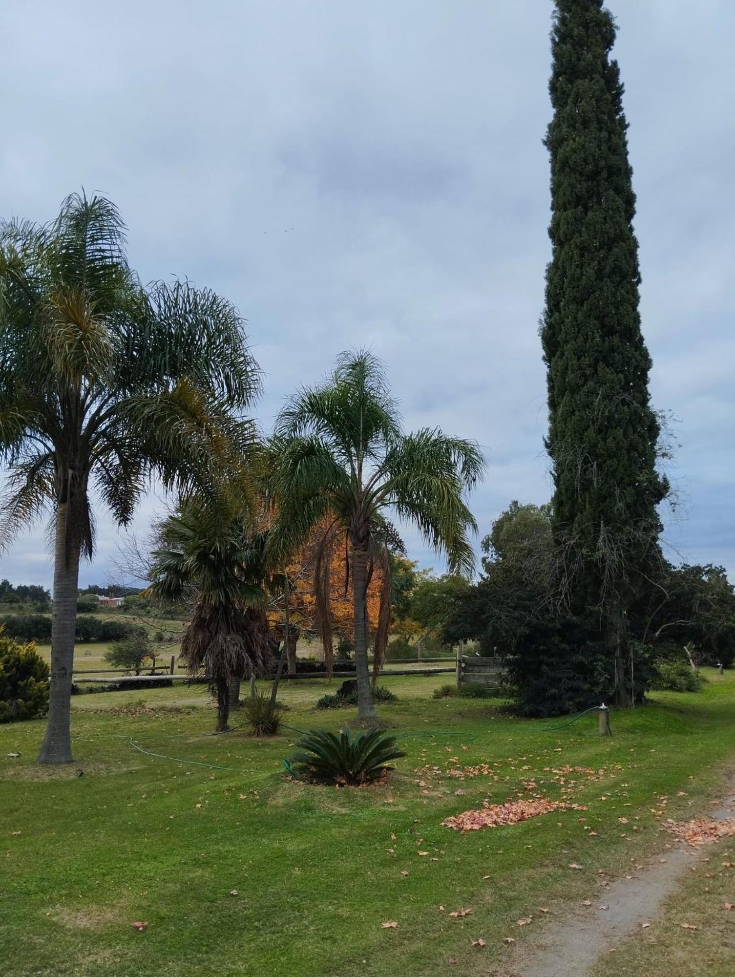 Pilmaiquen Villa Riachuelo Exteriör bild